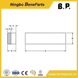 Barres d'usure standard forgées pour protection de godet DLP295